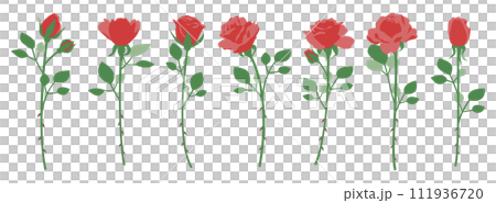Single rose illustration set, variation set, icon, vector 111936720