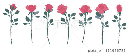 一輪の薔薇のイラストセット、バリエーションセット、アイコン、ベクター	 111936721