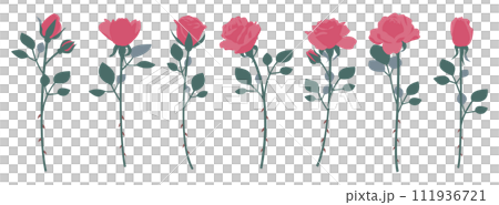 單朵玫瑰插圖集、變異集、圖示、向量 單朵玫瑰插圖集、變異集、圖示、向量 111936721