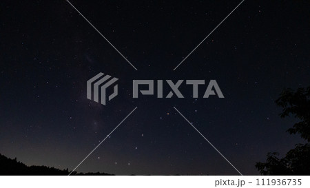 夏空のさそり座 夏空のさそり座 111936735