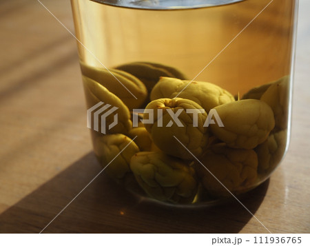 自家製の梅酒 111936765