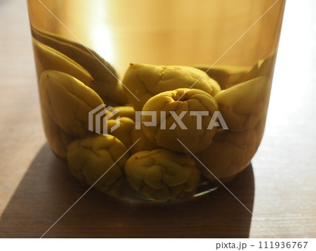 自家製の梅酒 自家製の梅酒 111936767
