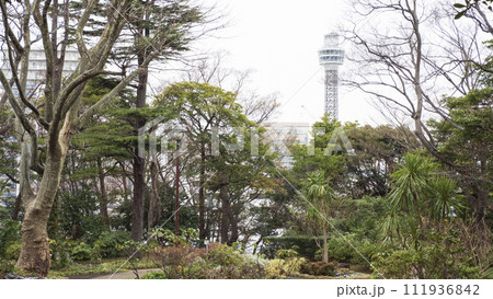 イングリッシュローズの庭（港の見える丘公園） 111936842