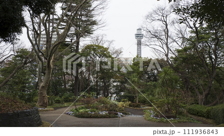 イングリッシュローズの庭（港の見える丘公園） 111936843