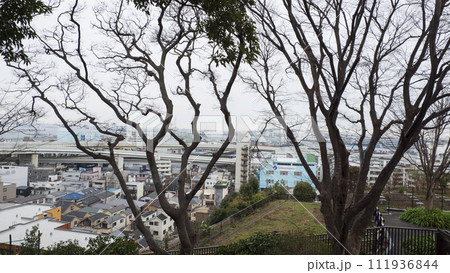 イングリッシュローズの庭（港の見える丘公園） 111936844