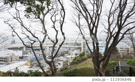 イングリッシュローズの庭（港の見える丘公園） 111936846