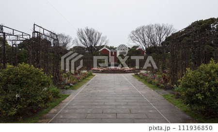 イングリッシュローズの庭（港の見える丘公園） 111936850