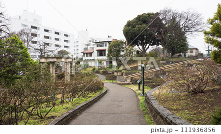 イングリッシュローズの庭(港の見える丘公園) イングリッシュローズの庭(港の見える丘公園) 111936856