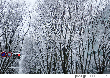雪降る朝の道路 雪降る朝の道路 111936883