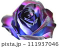 ブルーローズ 111937046