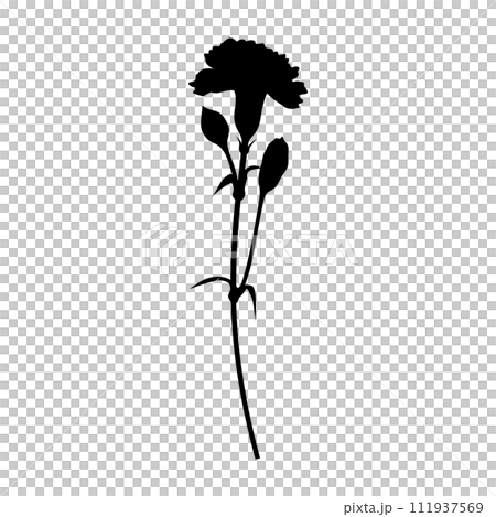 Single carnation silhouette, icon, vector Single carnation silhouette, icon, vector 111937569