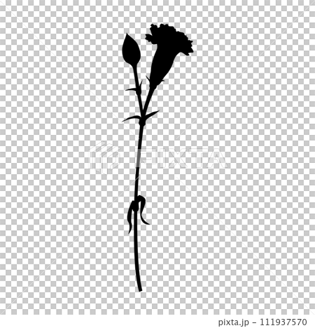 Single carnation silhouette, icon, vector Single carnation silhouette, icon, vector 111937570