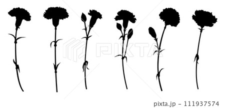 一輪のカーネーションのシルエットセット、バリエーション素材、アイコン、ベクター 111937574