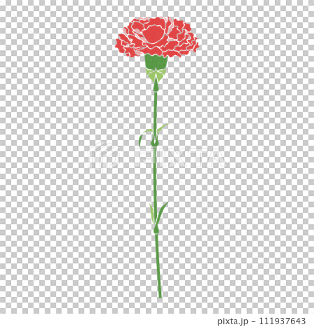 Single carnation, icon, vector 111937643