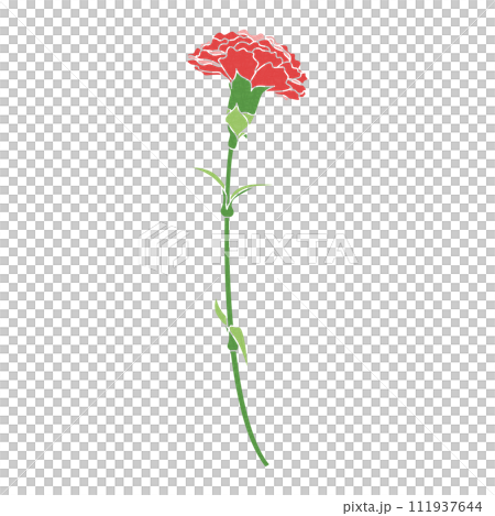 Single carnation, icon, vector Single carnation, icon, vector 111937644