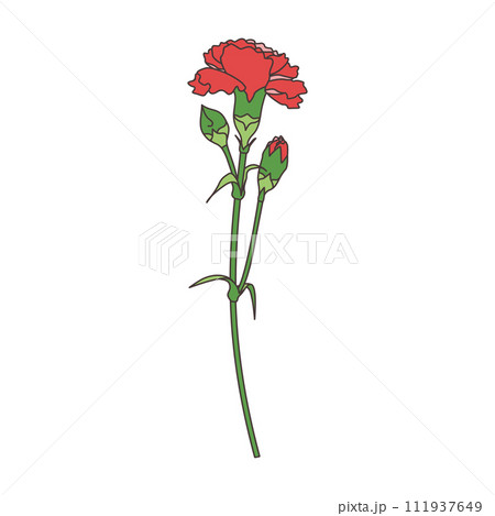 一輪のカーネーション、アイコン、ベクター 111937649