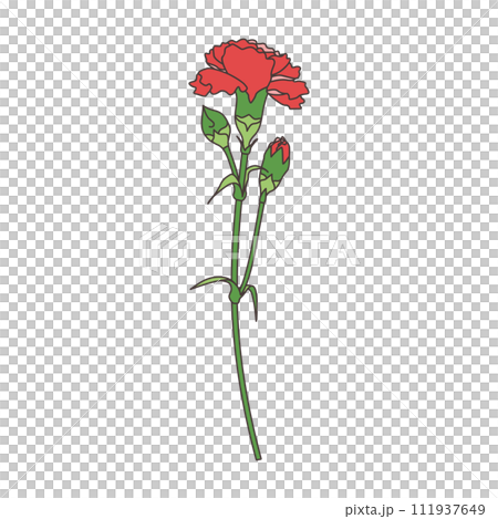 一輪のカーネーション、アイコン、ベクター 111937649