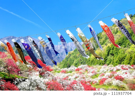 阿智・月川温泉花桃の里 111937704