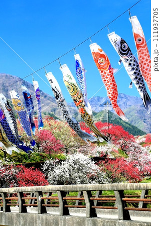 阿智・月川温泉花桃の里 阿智・月川温泉花桃の里 111937705
