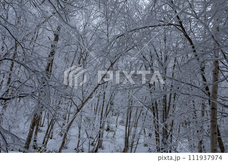 霧氷の山 111937974