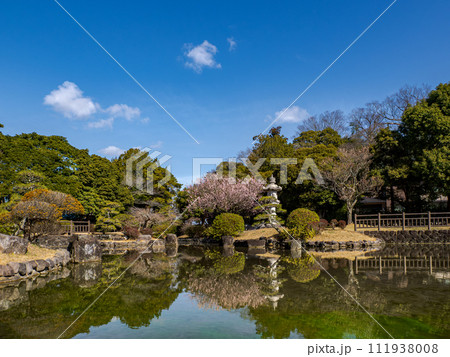 日本庭園に咲く梅の花【見驚】と青空 日本庭園に咲く梅の花【見驚】と青空 111938008
