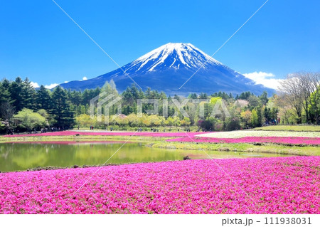 芝桜と富士山 111938031