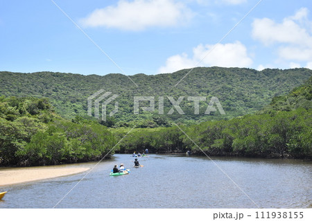 マングローブの中をカヤック マングローブの中をカヤック 111938155