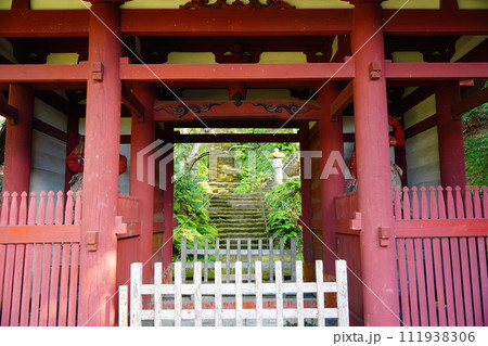 【鎌倉・苔寺】朱塗りの仁王門がある鎌倉の苔の寺　妙法寺　苔の階段に歴史を感じる 111938306
