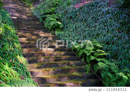 【鎌倉・苔寺】朱塗りの仁王門がある鎌倉の苔の寺　妙法寺　苔の階段に歴史を感じる 111938312