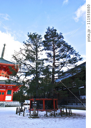 世界遺産「高野山」根本大塔 111938680