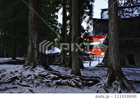 世界遺産「高野山」根本大塔 111938690