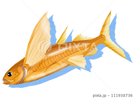 トビウオの木彫風イラスト 111938736