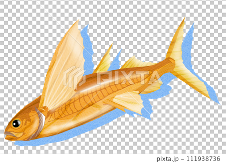 トビウオの木彫風イラスト 111938736