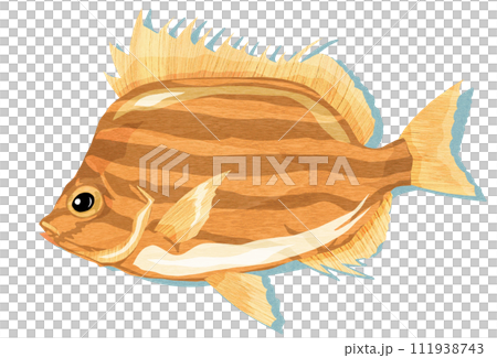 Wood carving illustration of basket oyster fish 111938743