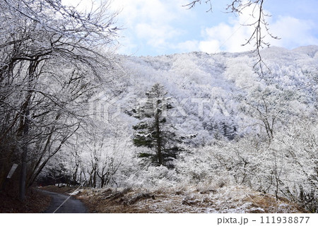 群馬　青空と雪の景色 111938877