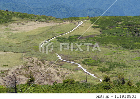 白山室堂への登山道　五葉坂から見る弥陀ヶ原 111938903