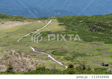 白山室堂への登山道　五葉坂から見る弥陀ヶ原 111938906