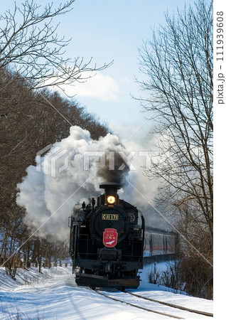 冬の湿原号が釧路湿原を走る 冬の湿原号が釧路湿原を走る 111939608