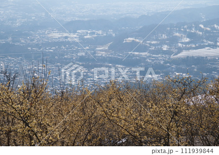 宝登山からの風景 宝登山からの風景 111939844