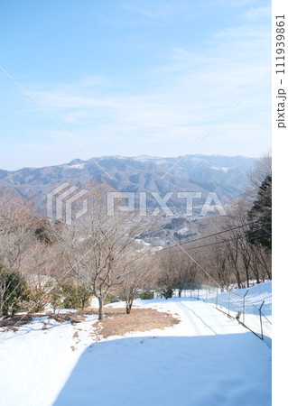 宝登山からの風景 111939861