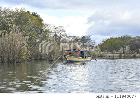 近江八幡水郷めぐり 111940077