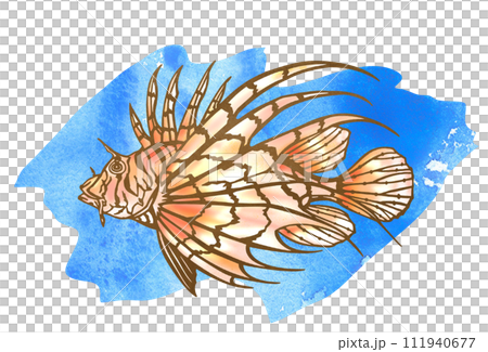 Illustration of a lionfish swimming underwater 111940677