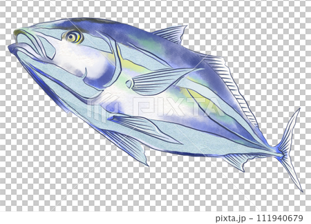 ブリの切り絵風イラスト ブリの切り絵風イラスト 111940679