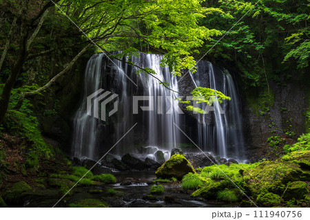 新緑の達沢不動滝 111940756