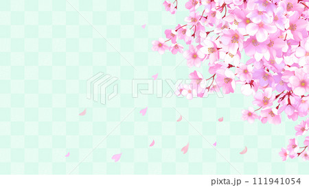 桜と市松模様のフレーム背景　桜吹雪　16:9 111941054