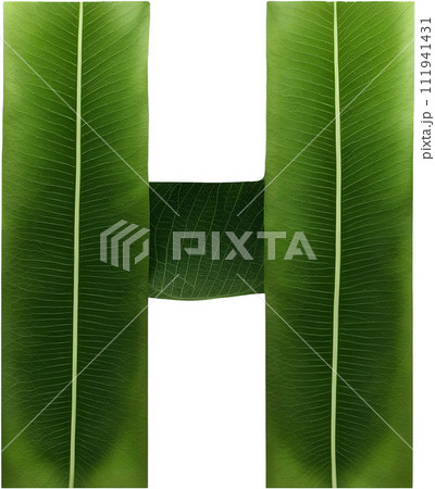 Green leaf typography text design uppercase alphabet H 111941431