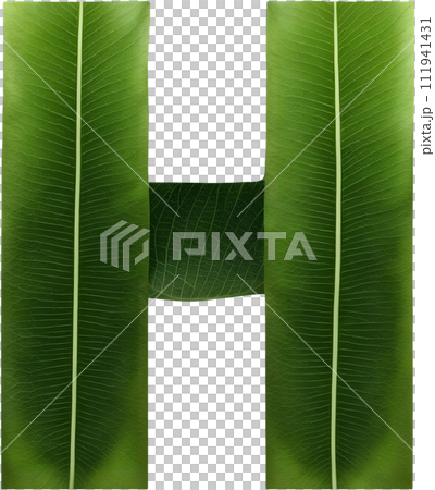 Green leaf typography text design uppercase alphabet H 111941431