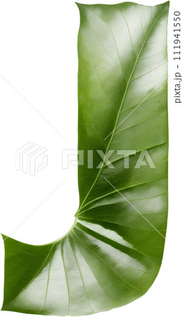 Green leaf typography text design uppercase alphabet J Green leaf typography text design uppercase alphabet J 111941550