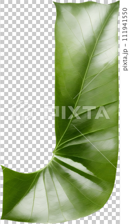 Green leaf typography text design uppercase alphabet J Green leaf typography text design uppercase alphabet J 111941550
