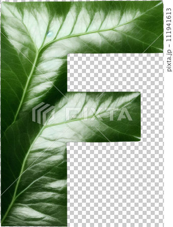 Green leaf typography text design uppercase alphabet F Green leaf typography text design uppercase alphabet F 111941613